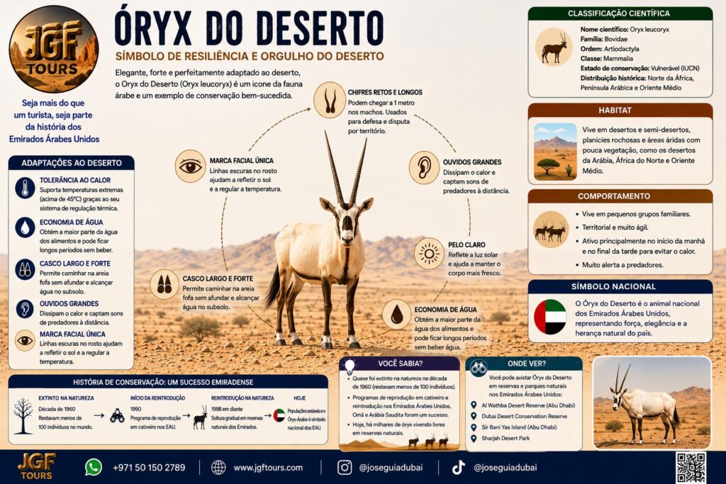 Infográfico educativo da JGF Tours sobre o órix-árabe (Oryx leucoryx) nos Emirados Árabes Unidos, apresentando anatomia, adaptações à vida no deserto, alimentação, habitat e importância cultural, além da história de conservação e reintrodução da espécie como símbolo da fauna e do patrimônio natural emiradense.