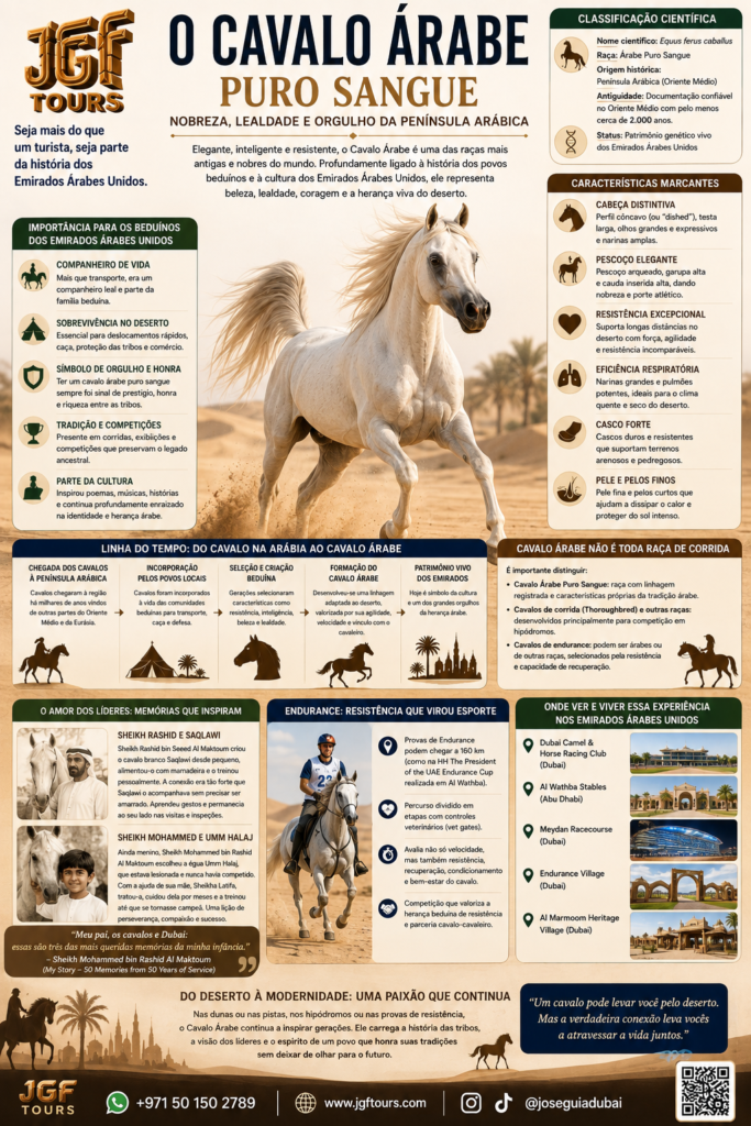 Infográfico educativo da JGF Tours sobre o Cavalo Árabe nos Emirados Árabes Unidos, apresentando suas características, resistência e vínculo histórico com os povos beduínos, além da tradição equestre, provas de endurance e importância do cavalo na cultura, história e patrimônio da Península Arábica e dos Emirados.