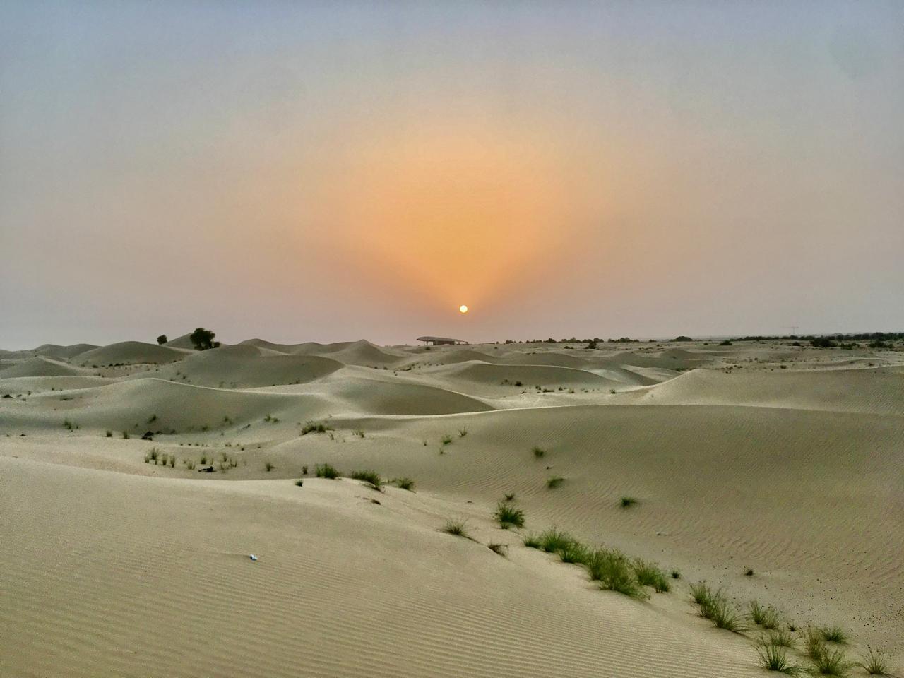 safari no deserto experiencia premium guia em portugues em dubai para brasileiros tours privados roteiros personalizados