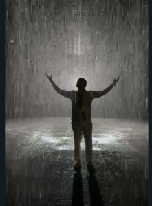 Sala de chuva Sharjah tour guia em portugues roteiro personalizado experiencia privada