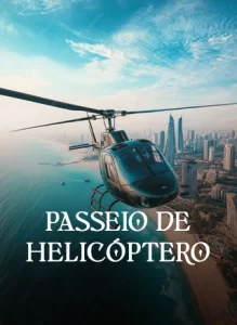 tour dubai em portugues passeio de helicoptero