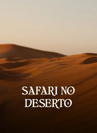 tour dubai em portugues safari no deserto